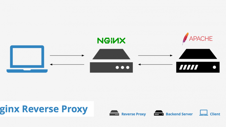 implement nginx reverse proxy