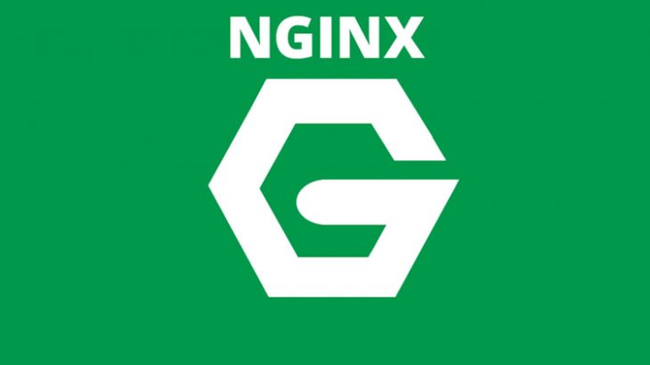 rewrite url with parameters in nginx