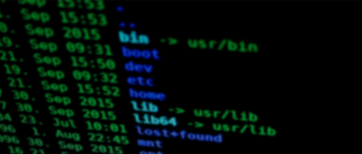 Find Directory Linux