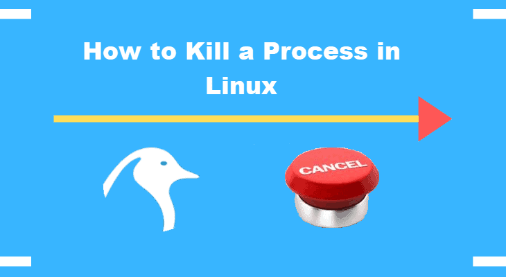 how to kill process by name in linux